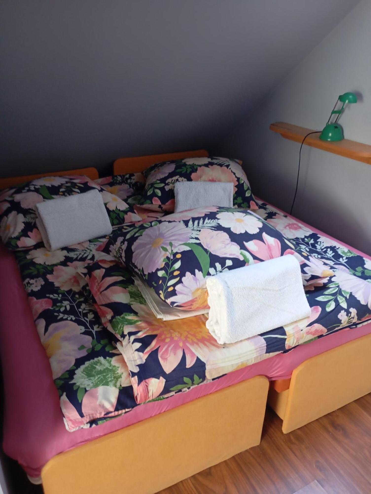 Homestay Goscinne Surfinia *
